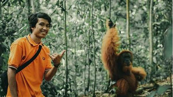Liburan Seru Di Bukit Lawang Sumut Bertemu Orangutan Liar