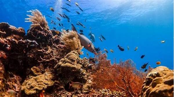Spot Freediving Terbaik Ada Di Laut Banda Maluku