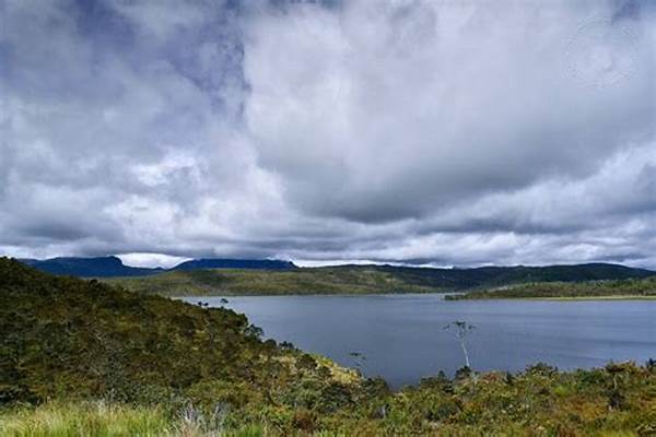 Wisata Danau Habema Papua Jadi Surga Di Atas Awan