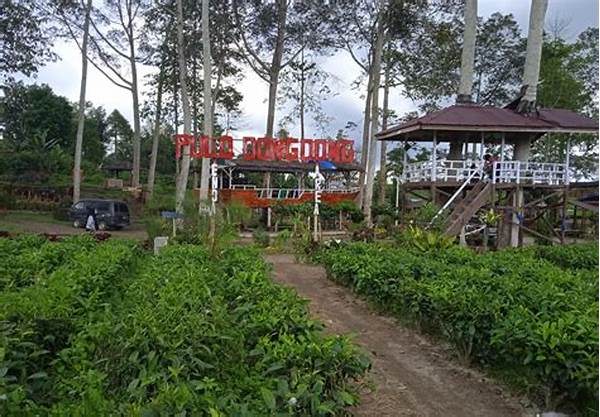 Kebun Teh Sidamanik Jadi Ikon Wisata Foto Instagramable