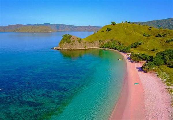 Pantai Pink Komodo Jadi Viral Di Media Sosial