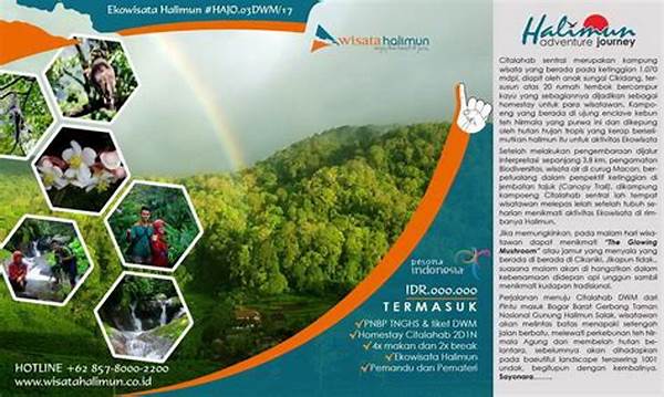 Papua Barat Resmi Buka Paket Wisata Ekowisata Danau Sentani