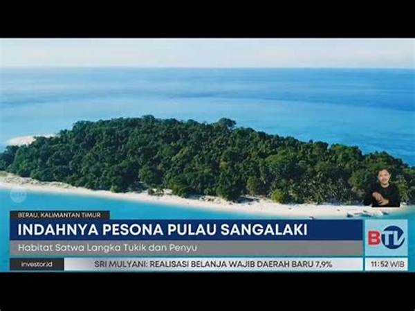 Pulau Sangalaki Jadi Destinasi Favorit Traveler