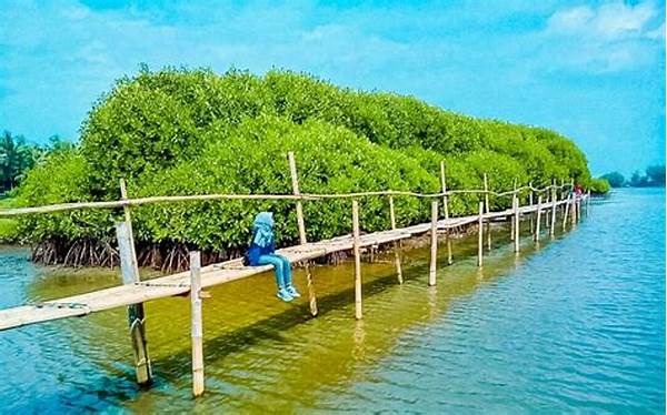 Sulawesi Barat Kembangkan Wisata Ekowisata Mangrove