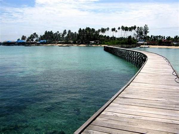 Wisata Derawan Kaltim Jadi Surga Diving Indonesia
