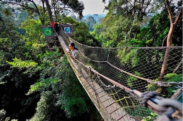 Wisata Hutan Hujan Tropis Kalimantan Masuk Dokumenter Netflix