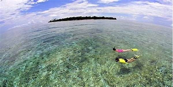 Ormastoto Bahas Tren Diving & Snorkeling Di Maluku Yang Makin Populer