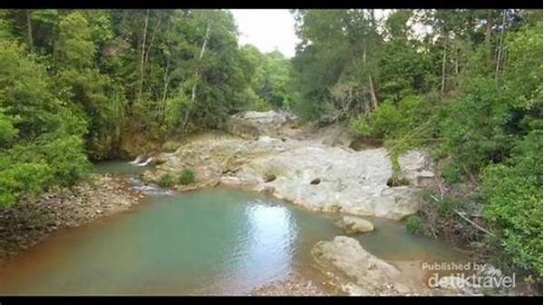 Ormastoto Ungkap Surga Tersembunyi Sungai Kapuas Yang Jarang Diketahui