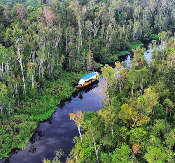 Taman Nasional Tanjung Puting Jadi Ikon Ekowisata Kalimantan