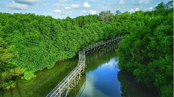 Ormastoto Bahas Ekowisata Mangrove Kalimantan Timur & Peluangnya