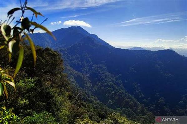 Ormastoto Pantau Potensi Wisata Hutan Kalimantan Selatan Untuk Petualangan