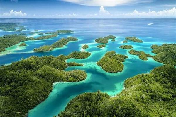 Ormastoto Ungkap Spot Bawah Laut Sulawesi Tengah