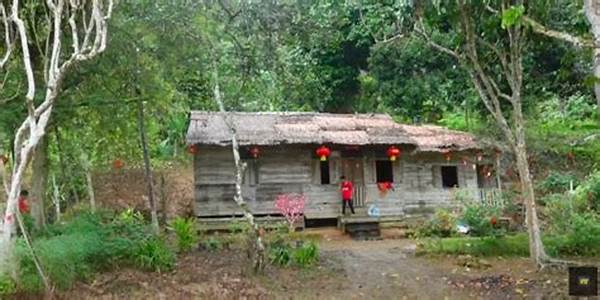 Ormastoto Ungkap Tren Homestay Alam Di Pedalaman Kalimantan