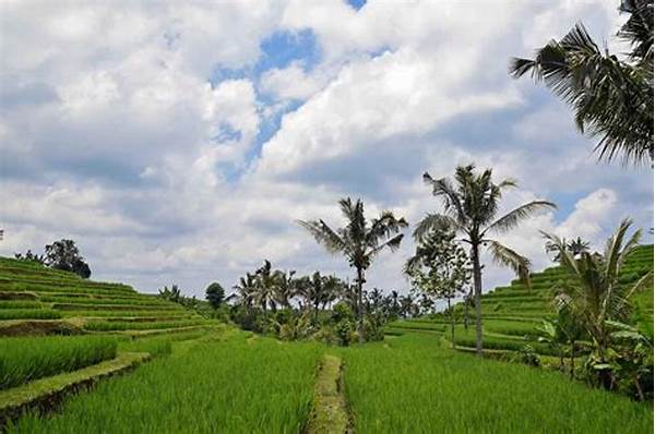 Ormastoto Ungkap Tren Wisata Halal Di Bali & Ntb