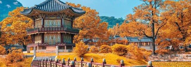 cara budget traveling ke Korea