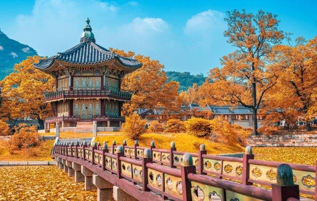 Cara Budget Traveling ke Korea agar Liburan Hemat tapi Tetap Seru
